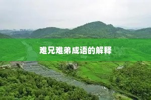 难兄难弟成语的解释