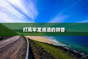 打凤牢龙成语的拼音