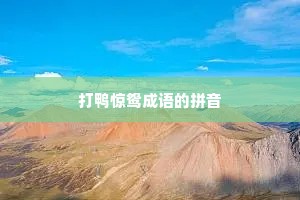打鸭惊鸳成语的拼音