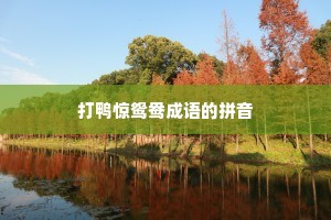 打鸭惊鸳鸯成语的拼音
