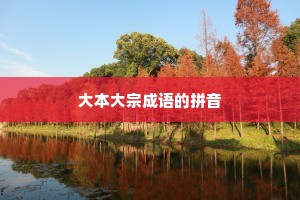 大本大宗成语的拼音