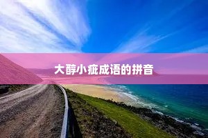 大醇小疵成语的拼音