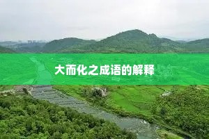 大而化之成语的解释