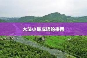 大法小廉成语的拼音