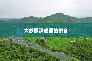 大放厥辞成语的拼音