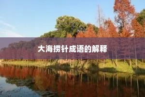 大海捞针成语的解释