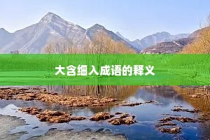 大含细入成语的释义