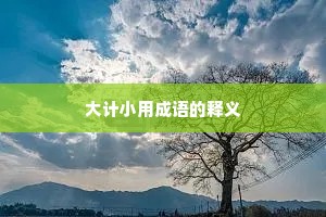 大计小用成语的释义