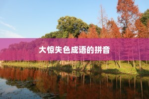 大惊失色成语的拼音