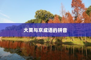大莫与京成语的拼音