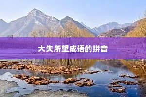 大失所望成语的拼音