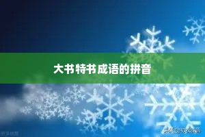 大书特书成语的拼音