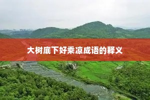 大树底下好乘凉成语的释义