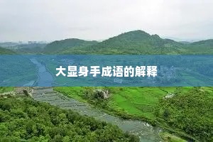 大显身手成语的解释