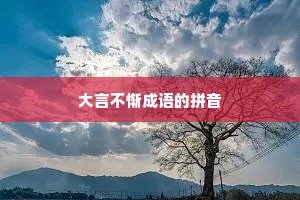 大言不惭成语的拼音