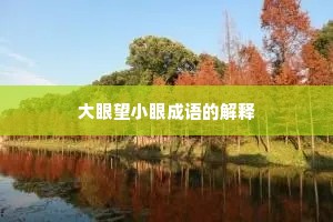 大眼望小眼成语的解释