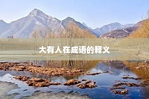 大有人在成语的释义