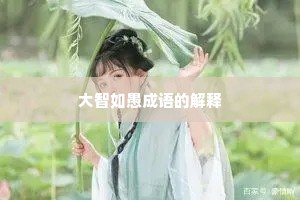 大智如愚成语的解释