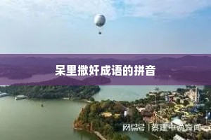呆里撒奸成语的拼音