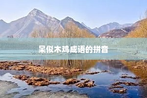 呆似木鸡成语的拼音