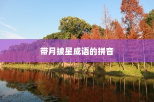 带月披星成语的拼音
