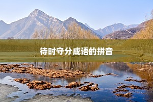 待时守分成语的拼音