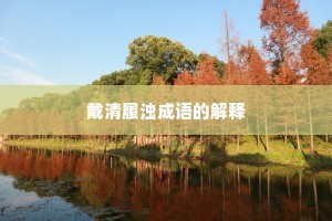 戴清履浊成语的解释