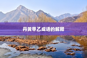 丹黄甲乙成语的解释