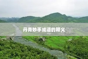 丹青妙手成语的释义