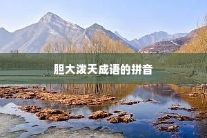 胆大泼天成语的拼音