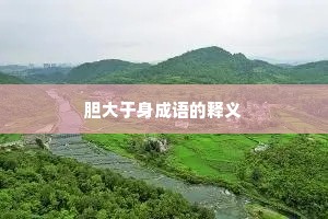 胆大于身成语的释义