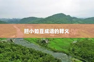 胆小如豆成语的释义