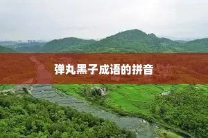 弹丸黑子成语的拼音