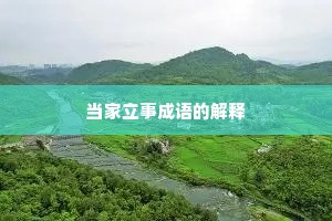 当家立事成语的解释