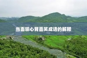 当面输心背面笑成语的解释
