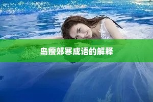 岛瘦郊寒成语的解释