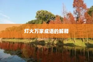 灯火万家成语的解释