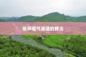 低声哑气成语的释义