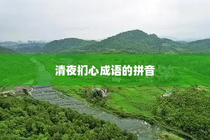 清夜扪心成语的拼音