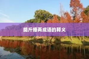 掂斤播两成语的释义