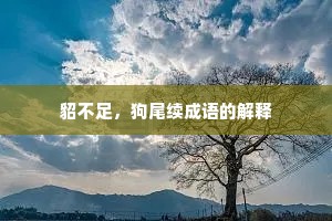 貂不足，狗尾续成语的解释