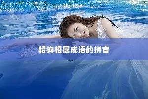 貂狗相属成语的拼音