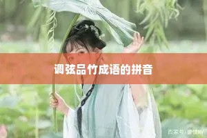调弦品竹成语的拼音