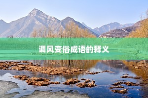 调风变俗成语的释义