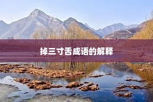 掉三寸舌成语的解释