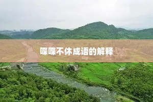 喋喋不休成语的解释