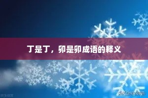 丁是丁，卯是卯成语的释义