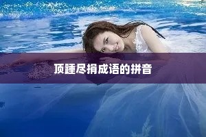 顶踵尽捐成语的拼音