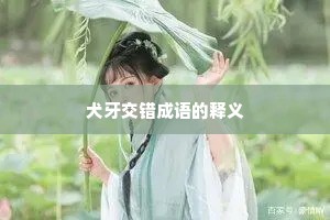 犬牙交错成语的释义