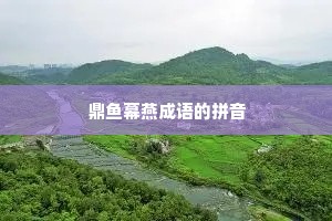 鼎鱼幕燕成语的拼音
